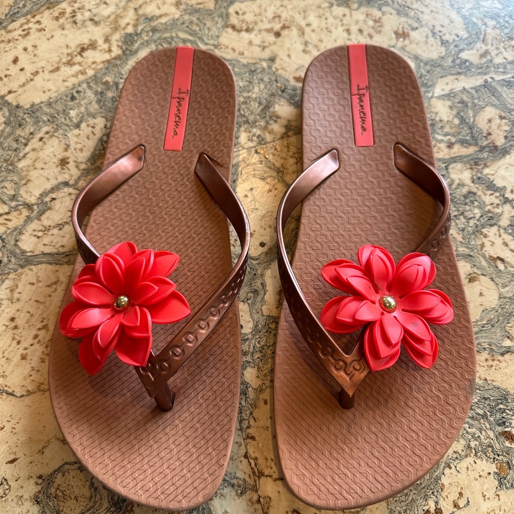 Ipanema Women's Brown and Red Floral Sandals
